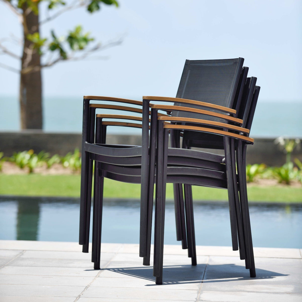 Orlando Rectangular Table and Vera Armchair Dining Set