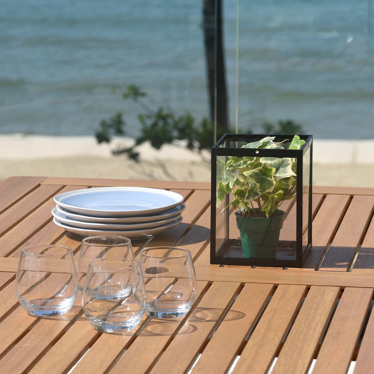 Orlando Rectangular Table and Vera Armchair Dining Set