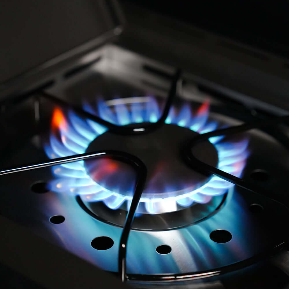 Eminence 425 Iconic Propane Gas Grill | The Lavish Sunset