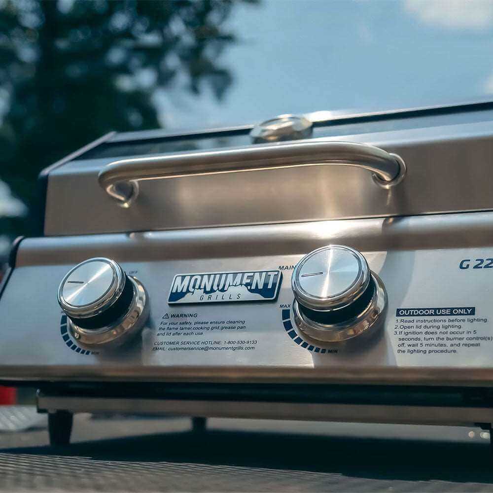 Horizon G22 Stainless Tabletop Propane Grill | The Lavish Sunset