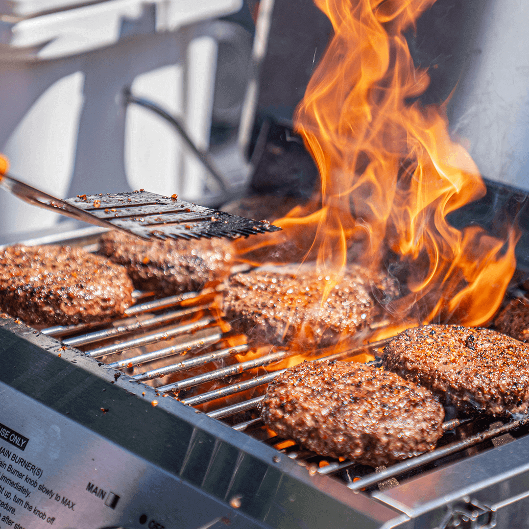 Compact Stainless Tabletop Propane Gas Grill | The Lavish Sunset