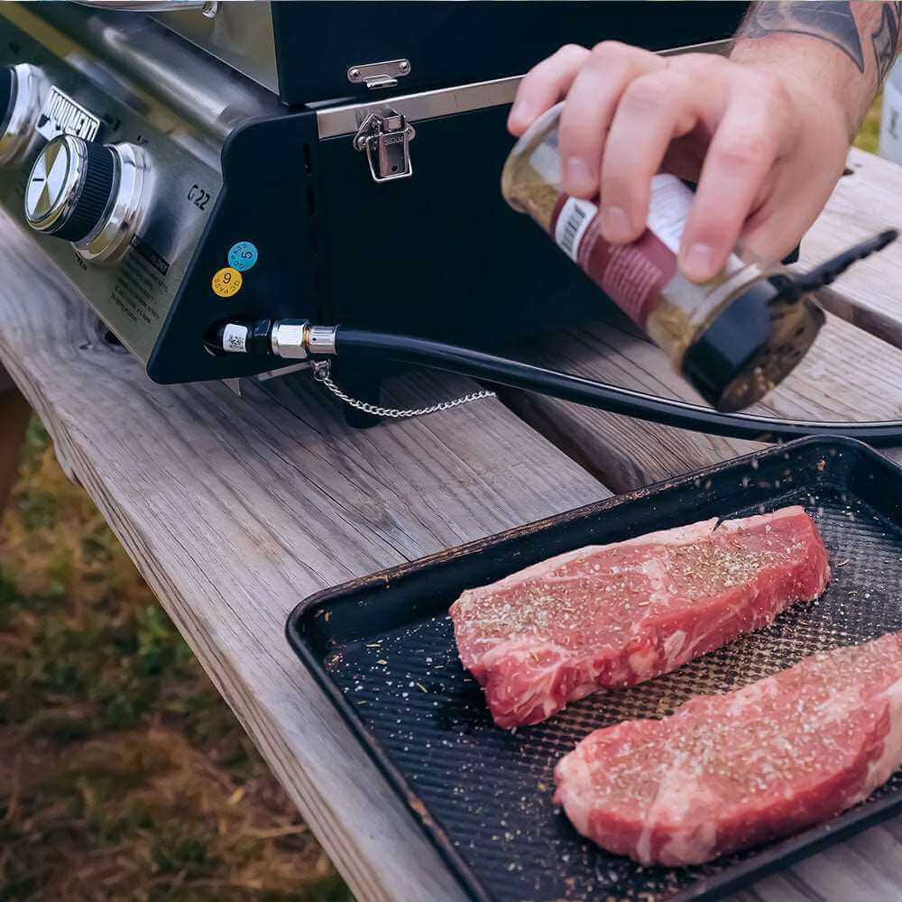 Horizon G22 Stainless Tabletop Propane Grill | The Lavish Sunset