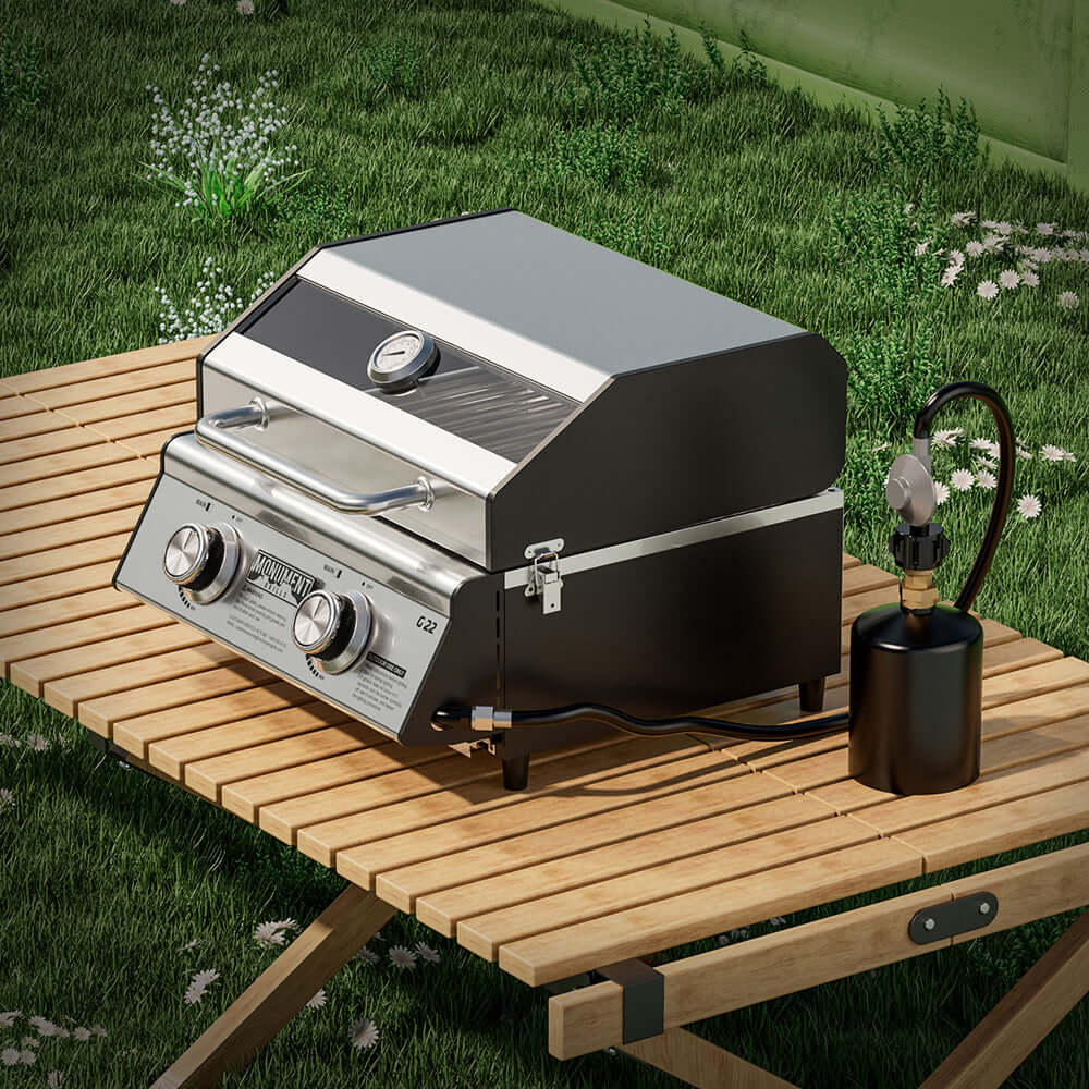 Horizon G22 Stainless Tabletop Propane Grill | The Lavish Sunset
