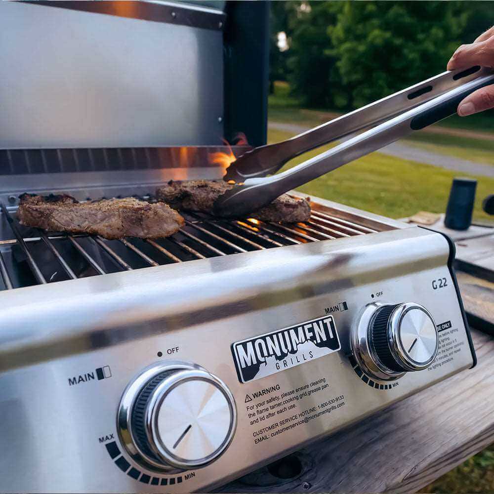 Horizon G22 Stainless Tabletop Propane Grill | The Lavish Sunset