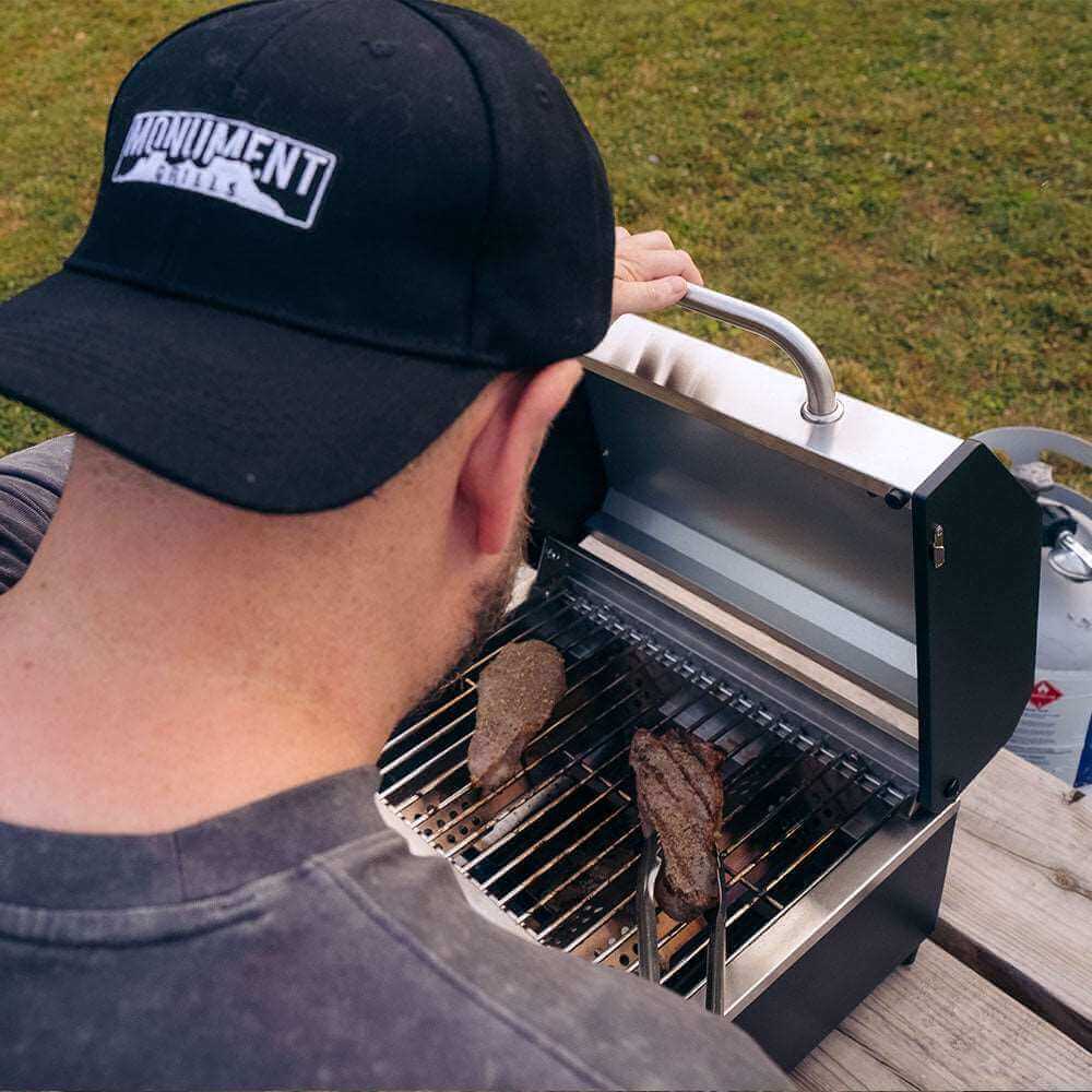 Horizon G22 Stainless Tabletop Propane Grill | The Lavish Sunset