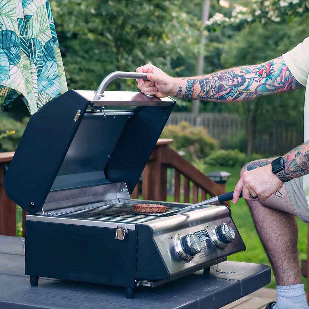 Horizon G22 Stainless Tabletop Propane Grill | The Lavish Sunset