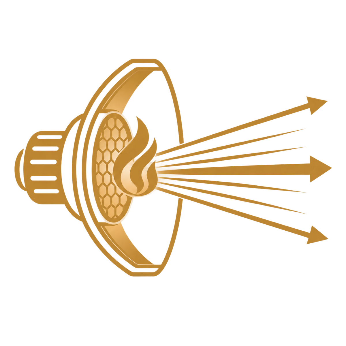 Power Without the Waste gold focused radiant heat icon